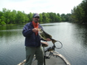 Picture-01